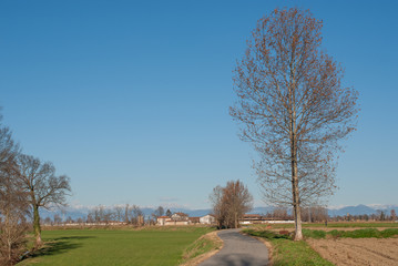 Obraz premium paesaggio di campagna