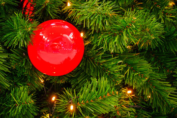 Red ball,Christmas ornament and light on Christmas tree