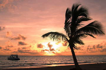 Fototapeta na wymiar Sunrise on the beach in Punta Cana, Dominican Republic.