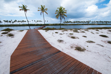 Wooden path on white sand on the Brazilian tropical coast