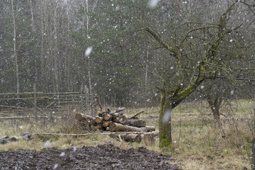 Winter in the village