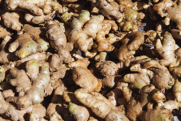Ginger root pile on market table. Golden brown ginger photo background.