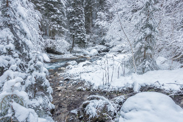Fototapeta na wymiar Fluss in einer Winterlandschaft