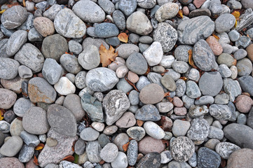 Oval stones laid on a flat surface.
