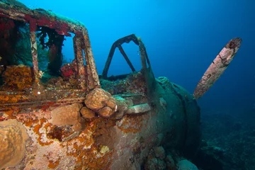 Fotobehang Japanese "Jake" sea plane, shot down during World War II, sits on a coral reef. © frantisek hojdysz