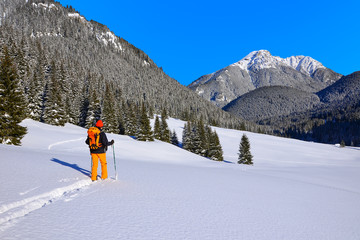 Skier in Chocholowska valley during winter season, Tatry Mountains, Poland