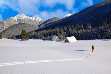 Skier in Chocholowska valley during winter season, Tatry Mountains, Poland