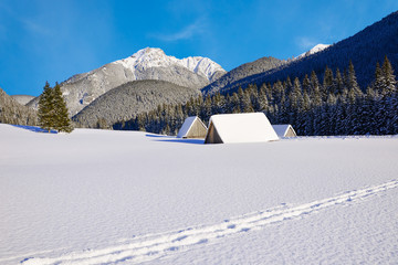 View of Chocholowska valley with old wooden houses covered by fresh snow, Tatra Mountains, Poland