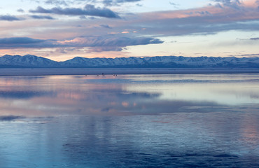 Holy Manasarovar Lake at sunset in Ngari, Western Tibet