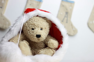 Teddy bear Christmas time