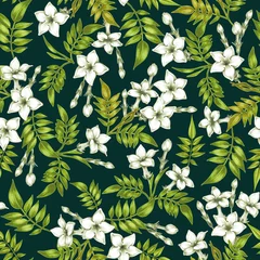 Vektornahtloses Blumenmuster mit Jasminblüten. © marinavorona