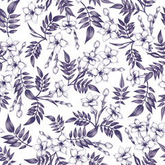 Vector seamless floral patternwith jasmine flowers.