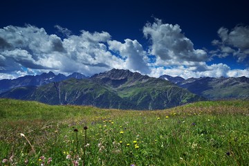 Fototapeta premium Landscape Picture of Alpine meadow in early summer, full of blooming flowers, best as a grazing land for alpine cows or sheep. Picture taken in sunny morning with white clouds and high mountains.