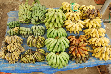 Différents types de bananes - 184091299
