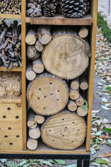 Wood Logs in a wooden shelf.