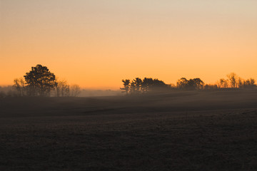 Misty Sunrise