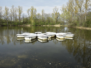 Fototapeta na wymiar Windstiller See mit Ruderbooten, Calm lake with rowboats