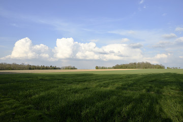 Gruenes, weites Feld mit blauem Himmel und weissen Wolken, Green, wide field with blue sky and white clouds