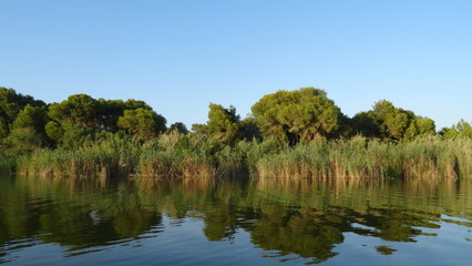 Fototapeta na wymiar Valencia lake