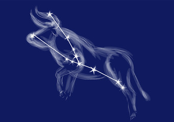 Zodiac sign-taurus © arkela