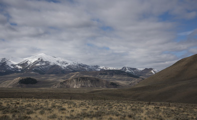 Fototapeta na wymiar Copper Basin Horse Pasture
