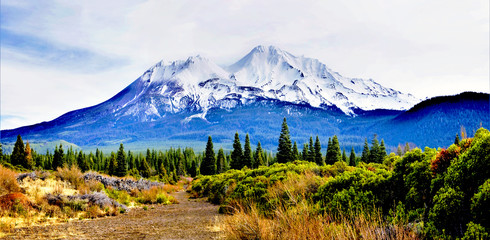 Mt Shasta Weed, California DSC0596