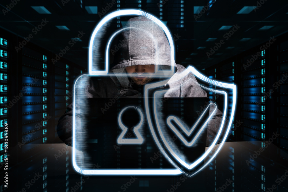 Leinwandbilder Hacker accessing to personal data information with a computer 3D rendering