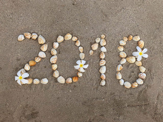 word 2018 is laid out of seashells on a sandy beach