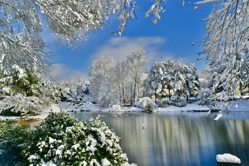 Winter landscape in a pond with a fountain