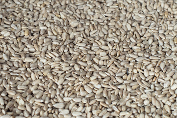 Peeled sunflower seeds as background.