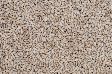 Peeled sunflower seeds as background.