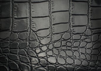 Black reptile leather texture with for background