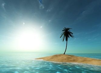 island in the ocean with a palm tree

