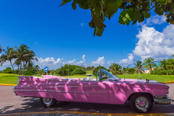 Amerikanischer pink Cadillac Cabriolet Oldtimer in Varadero Cuba - Serie Cuba Reportage - 184099403