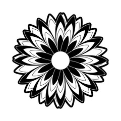 flower  vector illustration