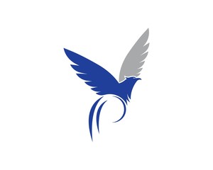 Obraz premium Falcon Eagle Bird Logo Template vector icon