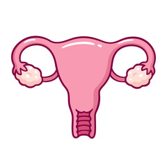 Cartoon uterus drawing
