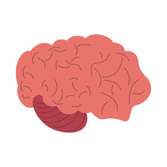 Human brain isolated icon vector illustration graphic design