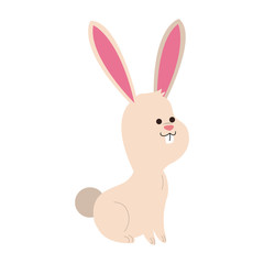 Cute bunny cartoon icon vector illustration graphic design