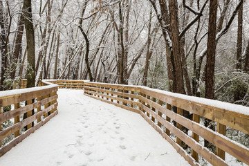 New record heavy snow fall making a winter forest of Roswell, Georgia December 2017
