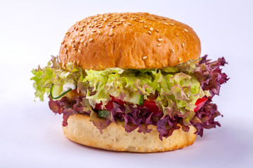 Fresh tasty burger isolated 