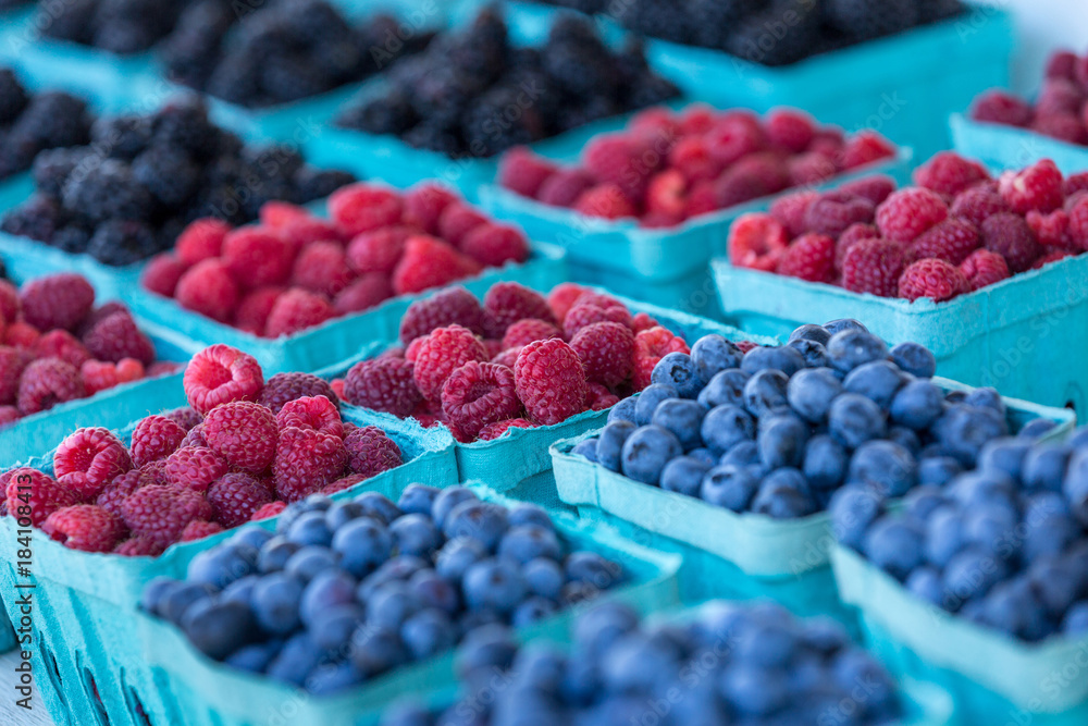 Wall mural Summer Berries