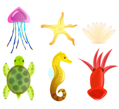 Marine elements. Animals. Icons seahorse, star, shell, turtle, squid, jellyfish. Vector illustration