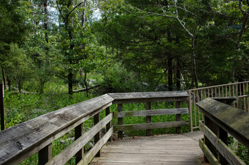 Pathway