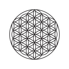 Sign of a flower of life, a pattern of circles