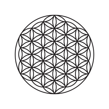 Sign of a flower of life, a pattern of circles