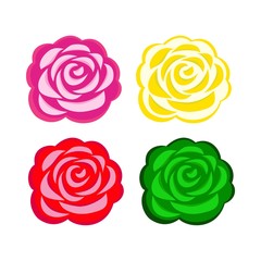 Flower Colorfull