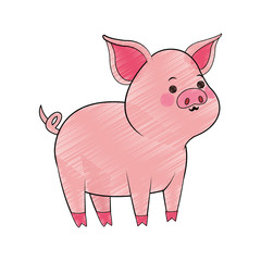 Pig cute cartoon icon vector illustration graphic design icon vector illustration graphic design