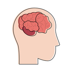 Human brain isolated icon vector illustration graphic design