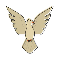 Dove bird cartoon icon vector illustration graphic design